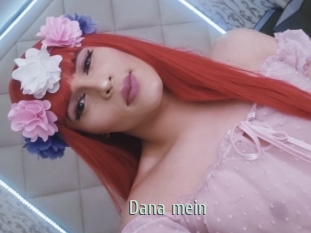 Dana_mein