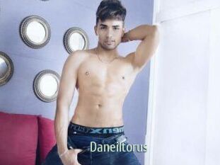 Daneil_torus