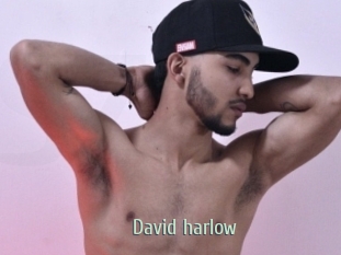 david_harlow Sexcam Zone