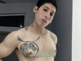 Davidl3630