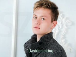 Davidniceking