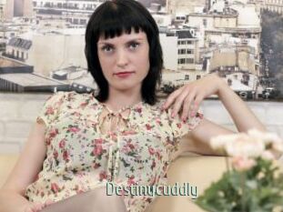 Destinycuddly