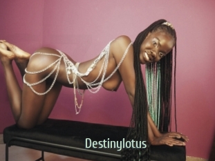 Destinylotus