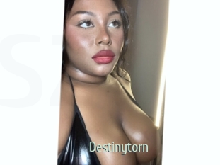 destinytorn Sexcam Zone