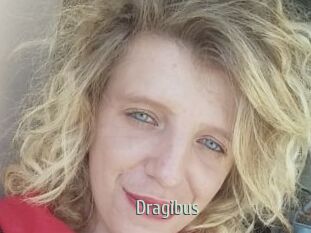 Dragibus
