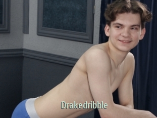 Drakedribble