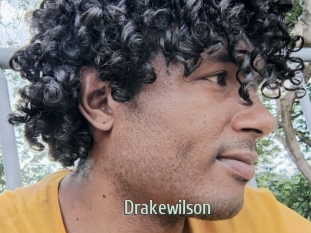 drakewilson Sexcam Zone