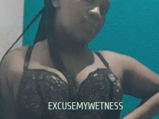 EXCUSEMYWETNESS