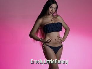 EmelyLittleBunny