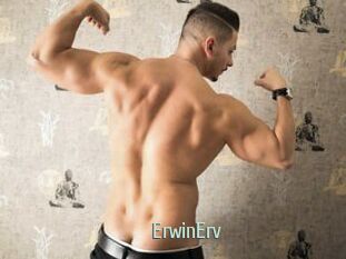 ErwinErv