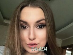 Evka1234