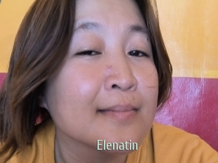 Elenatin