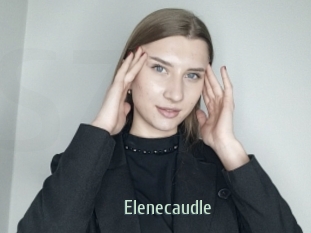 Elenecaudle