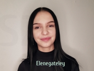 Elenegateley