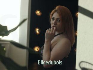 Elicedubois