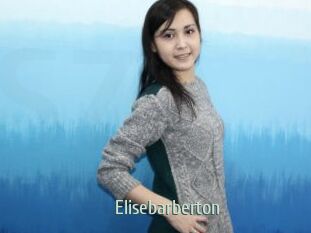 Elisebarberton