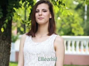 Ellieorhid