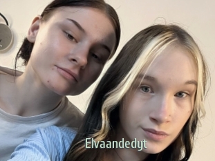 Elvaandedyt
