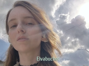Elvabucher