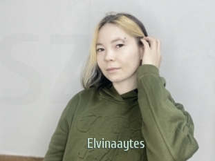 Elvinaaytes
