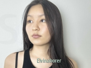 Elvinaborer