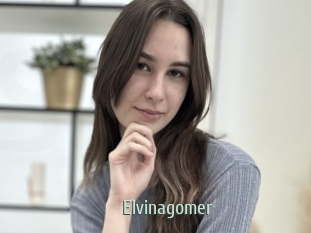 Elvinagomer