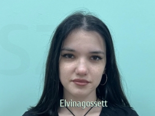 Elvinagossett