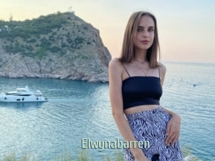 Elwynabarren