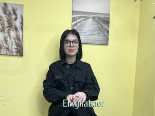 Elwynaboor