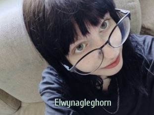 Elwynagleghorn