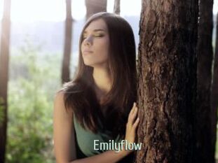 Emilyflow
