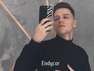 Endycor