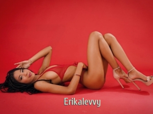 Erikalevvy