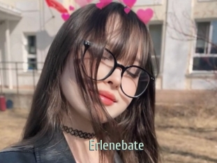 Erlenebate