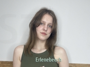 Erlenebeech