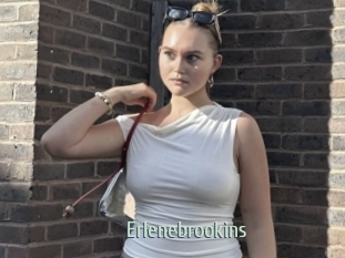 Erlenebrookins