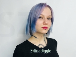 Erlinadiggle