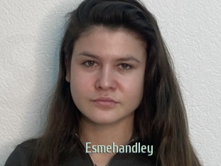 Esmehandley