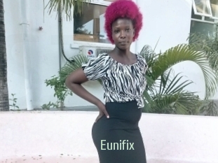 Eunifix