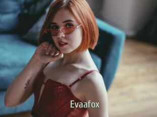 Evaafox