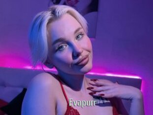 Evapurr