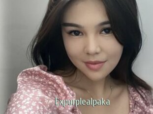 Expurplealpaka