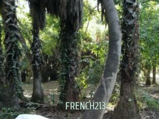 FRENCH213