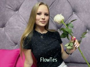 FlowTes Sexcam Zone
