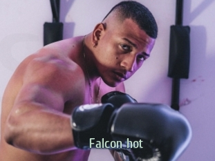 falcon_hot Sexcam Zone