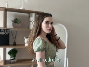 Felicedrover