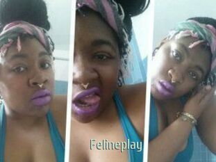 Felineplay
