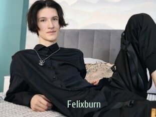Felixburn