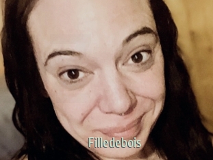 Filledebois