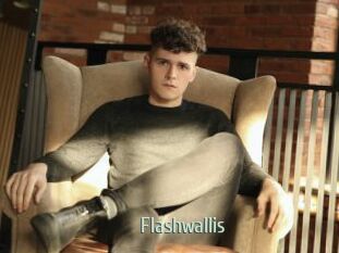 Flashwallis